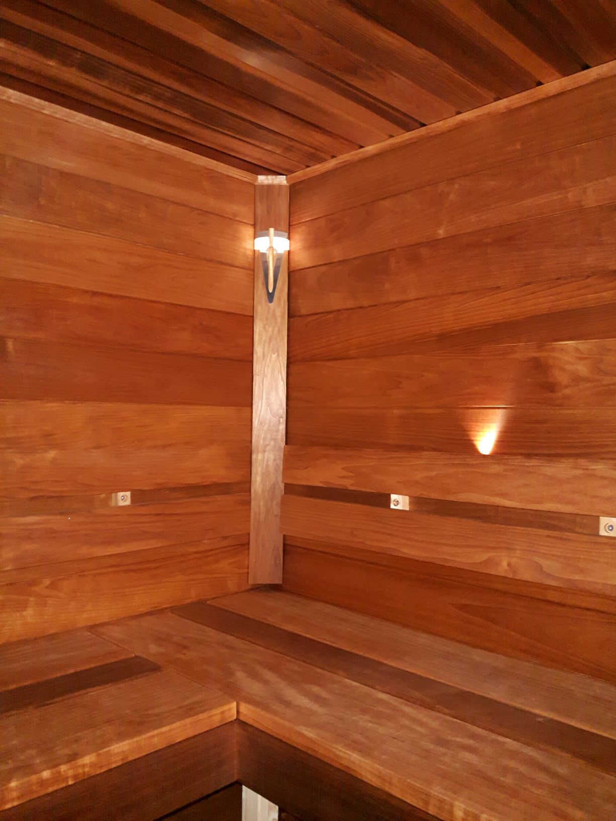 Paneloitu sauna.